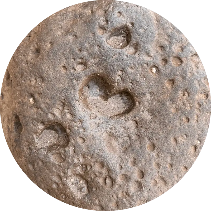 A rock with heart-shaped and other small indentations on its surface.